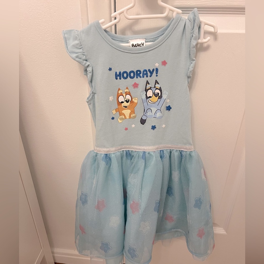 Bluey Dress